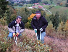 Zupacken beim Umwelttag