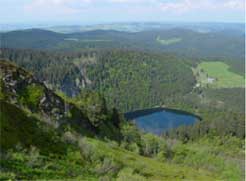 Der Feldsee